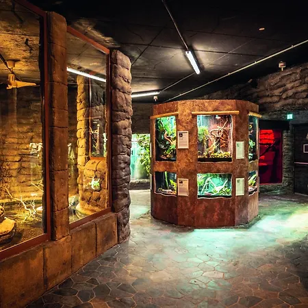 Apartman Im Freizeitpark Weissenhaeuser *