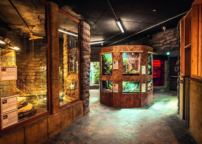 Appartement Im Freizeitpark Weissenhaeuser *